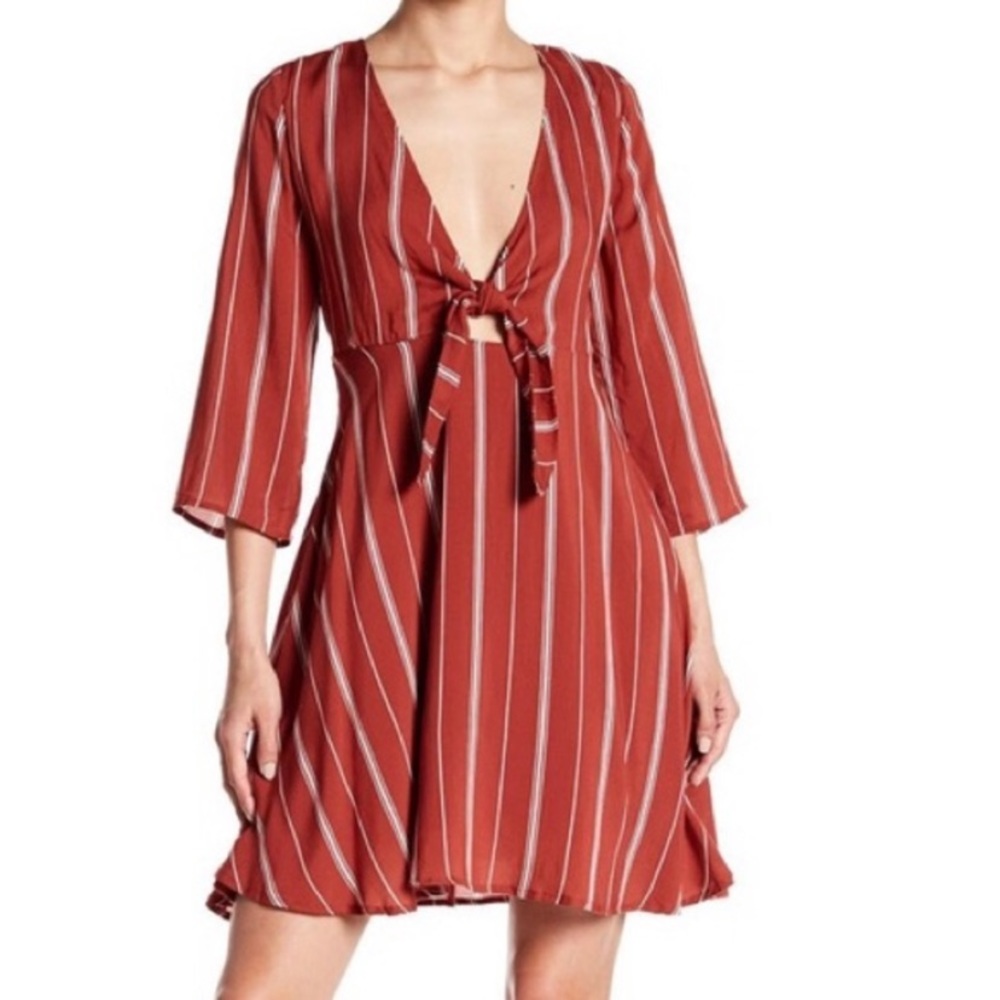 Society Amuse Dress